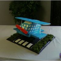 Baby Shower Plane 