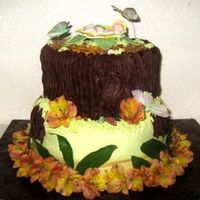 Baby Sleeping On Stump This cake was for my cousin's baby shower. The top tier is French Vanilla with bavarian filling and chocolate buttercream. The bottom...