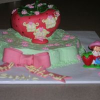 Strawberry Shortcake I did this cake for my niece's 4th birthday. She had been telling me for months that she wanted a Scooby Doo Mystery Machine cake,...