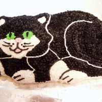 Cat Cake This is the first cat cake I made for Cindy Yeager