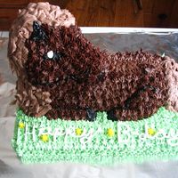 3D Horse Cake I just got through making this cake for my nieces birthday. It was a tough time ( the mane fell off, then the head started to crack in half...