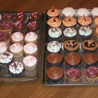 I Went Cupcake Crazy! coconut, chocolate mint, chocolate w/vanilla bc, chocolate w/choc ganache,yellow w/vanilla bc, yellow w/choc ganache, yellow w/vanilla...