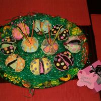 Bug Cakes These are ladybug cakes I made for my sisters birthday. They were so easy and fun. She loved them!