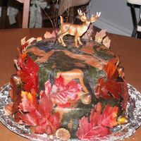 Camo Cake 