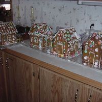 Finished Gingerbread Houses This were the masterpiesces that the kids created at daycare. I was so impressed with how well each of them did. We have future bakers here...