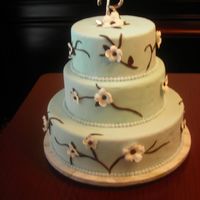 Bridal Show 2007 Cake This is my first dummy cake. It's covered in tiffany blue tinted fondant, hand cut flowers and chocolate fondant branches. This is...