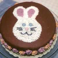 Easter Bunny Cake Covered with plastic chocolate and then decorated with buttercream. Thanks for looking!