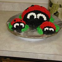 Lady Bug And Family 