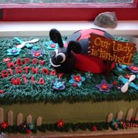 Ladybug Cake I made this cake for a little girls 1st birthday. All the grass on the cake is bc frosting and everything else is fondant.