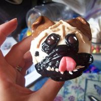 Pug Cupcake A pug cupcake I made for a friend- from the "Hello Cupcake!" book.
