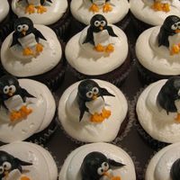 Img_0179.jpg Cupcakes with penguins on top. I used 7 minute frosting for the snow, and buttercream for the penguins.