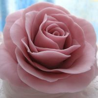 Fondant Rose Does it look real ?