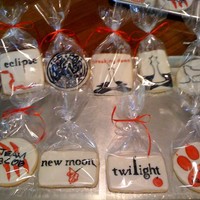 Twilight Cookies Flooded w/ Carmie's icing, details w/ royal and NFSC -