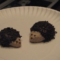 Hedgehogs Neighbor gave me pic and recipe from Country Woman magazine.Super easy to make and taste like pecan sandies.