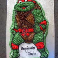Ninga Turtles Kid'S love them !! chocolate cake with BC incing :)