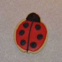 Ladybug Cookie This is yet another practice cookie. Cookie icing with royal details.