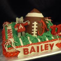 Bailey's Alabama Cake Made this for a friend's son's 11th birthday. Field is 9 X 13 WASC with Wilton recipe strawberry filling. It was good, but I...