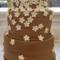 Cascading Flowers I used a new chocolate buttercream recipe on this cake and it just wasn't as stable. The silly flowers kept falling off. In...