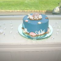 Grooms Beach Cake choco with chocolate filling,beach grooms cake with white choc shells painted with dust