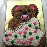 Baby Shower Teddy Bear With Blanket Baby Shower Teddy Bear with Blanket used various size star tips and grass tip for blanket fringe.