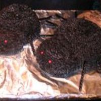Oozing Spiders Got the idea from a cake book about a filled cake, baked the bodies in a glass pyrex bowl (didn't have a ball or domed shape pan), cut...