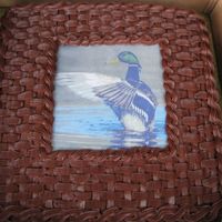 Edible Image Duck 