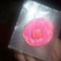 My First Rose!! this is my first rose i made wiht icing!! i have never taken any classes so i sat here in front of the computer and taught myself with the...
