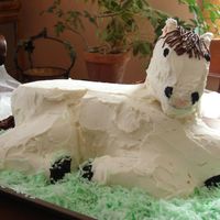 Horse Cake Here is the horse cake I attempted for my daughter's 7th birthday. Thank you to everyone who gave me advice I really appreciate it. It...