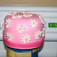 Daisy Cak 
