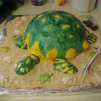 Turtle Cake This was for an 8 yr. olds birthday. She loves turtles and has 2 of her own. This was my first animal cake.I used an 8 inch round and a...