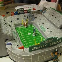 Michigan State Spartans Football Stadium This is the football stadium at Michigan State University. Made for the white out game in 2008 (why all the people are white except for...
