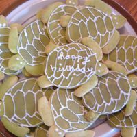 Sea Turtle Cookies me and my boyfriend decorated these for his mom for her birthday