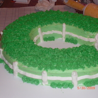 Horseshoe/pasture Cake THIS WAS A BIRTHDAY/FATHER'S DAY CAKE FOR MY FIL. ITS MY 1ST TIME DOING 'GRASS' BUT SADLY, I WAS NOT ABLE TO FIND LITTLE...