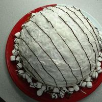 Dome Cake Has a fruit salad filling. Placed coconut on top and drizzled some chocolate. It was delicious.