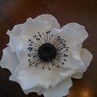 My First Anemone My first anemone. I am really happy how it turned out. But there was a lot of cussing during the process of making it (lol).