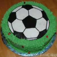 Soccor Cake This cake is made using the frozen bc transfer method. I added some MMF ladybugs for charm.