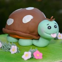 Timmy Turtle This is a cupcake that I entered into the 2007 Austin Cake show. I placed 1st in Confections not on a cake with this entry.