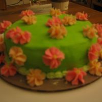 Flowers, Other Angle 