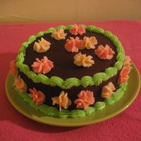 Playing With Shells-2Nd Look 