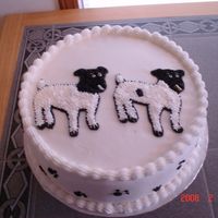 Akes By Tonya 10" white I'm not to happy with this cake. The puppy could be better.