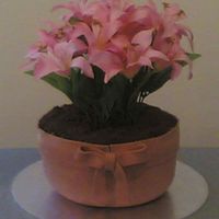 Flower Pot Cake two 8" rounds stacked and carved to look like a flower pot, covered in coh bc and terracotta coloured mmf, crushed choc biscuits as...