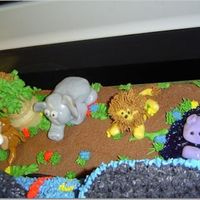 Thomas Safari Close-up of animals