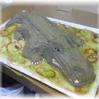 Crocodile cake carved crocodile. i'm so excited about the way he turned out! this was for an eighty year old woman. all buttercream frosted!
