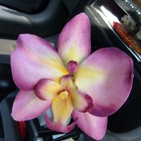 Gum Paste Orchid This is a close-up view of the gum paste orchid I did that goes with my sushi cake.