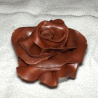 Hpim0116.jpg Arinie's Chocolate Clay Rose View 2