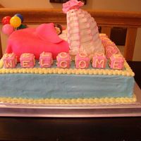 Resizedstaciecake.jpg This is the final version of my baby shower cake (I had done a practice one before, picture also in album.)