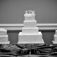 Modern Trio This bride wanted something more modern and contemporary. It was really fun designing this cake. I don't have a very good shot of the...