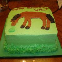 Horse I was a little nervous about doing this cake, but I love a challenge. Drawing is not one of my talents so I traced the outline of a picture...