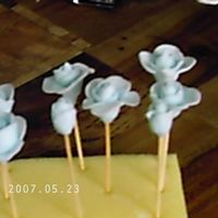 Fondant Roses These are the roses we learned to make out of Wilton colored fondant. I did six, and my mother made three.