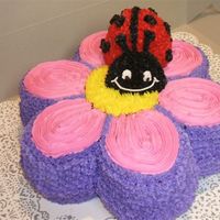 Flower And Lady Bug Red Velvet Flower with custard filling. Lady Bug is white cake with chocolate cupcake for the head.